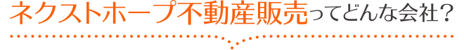 ネクストホープ不動産販売ってどんな会社?